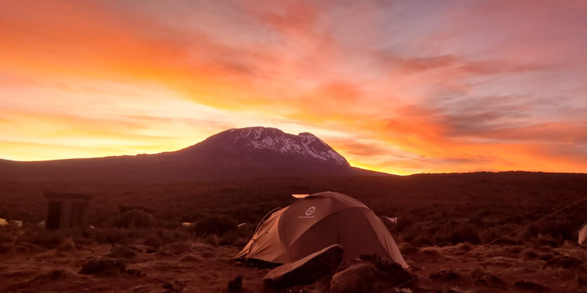 The view of Kilimanjaro