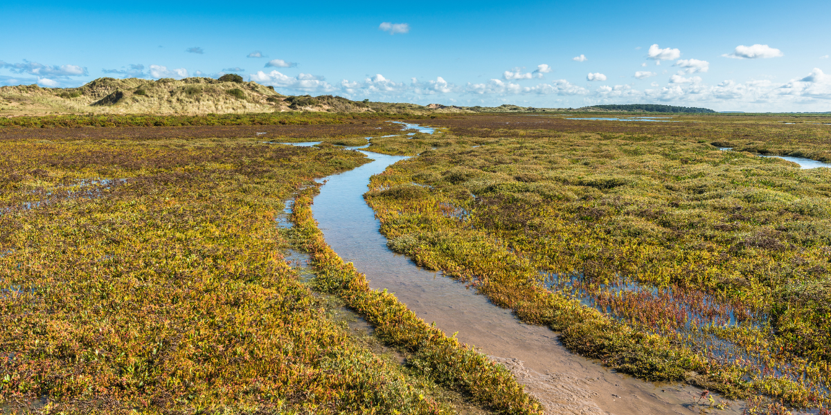 Picture of Burnham Overy Staithe in Norfolk