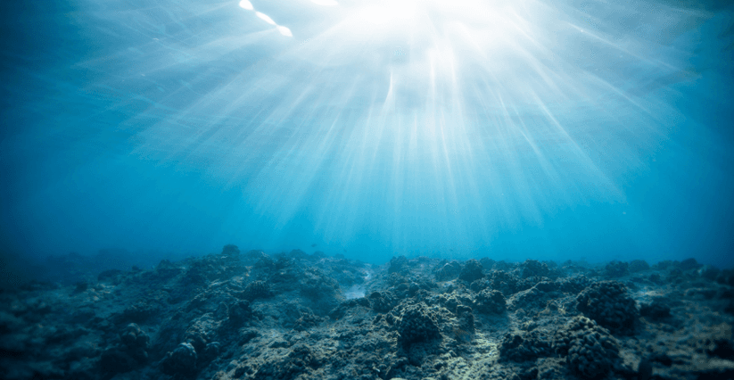 Underwater picture showing the seabed and light shining through from the surface